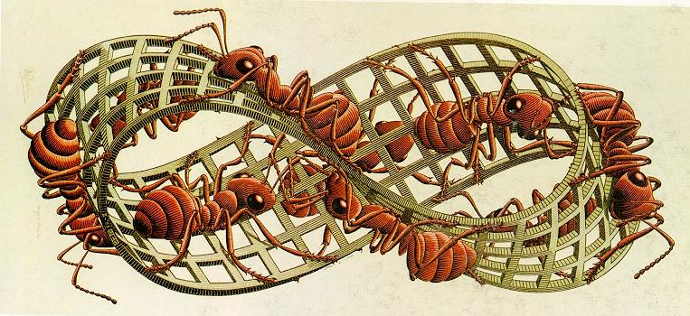 M. C. Escher - Moebius strip II (1963)