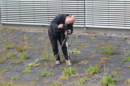 SMP131_2012.JPG