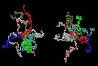 Interaction
        between two star polymers