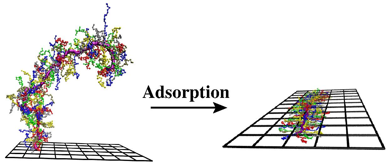Adsorption brush