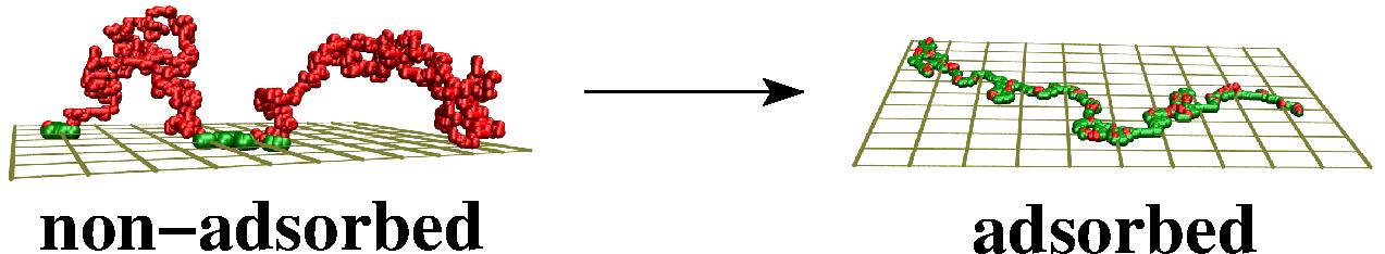Adsorption transition
