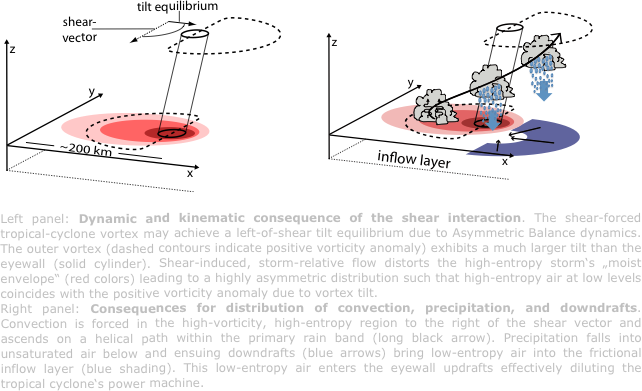  ￼         ￼

Left panel: Dynamic and kinematic consequence of the shear interaction. The shear-forced tropical-cyclone vortex may achieve a left-of-shear tilt equilibrium due to Asymmetric Balance dynamics. The outer vortex (dashed contours indicate positive vorticity anomaly) exhibits a much larger tilt than the eyewall (solid cylinder). Shear-induced, storm-relative flow distorts the high-entropy storm‘s „moist envelope“ (red colors) leading to a highly asymmetric distribution such that high-entropy air at low levels coincides with the positive vorticity anomaly due to vortex tilt. 
Right panel: Consequences for distribution of convection, precipitation, and downdrafts. Convection is forced in the high-vorticity, high-entropy region to the right of the shear vector and ascends on a helical path within the primary rain band (long black arrow). Precipitation falls into unsaturated air below and ensuing downdrafts (blue arrows) bring low-entropy air into the frictional inflow layer (blue shading). This low-entropy air enters the eyewall updrafts effectively diluting the tropical cyclone‘s power machine.