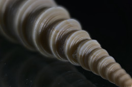 Klick to see High Resolution