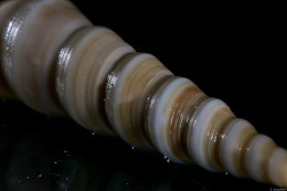 Klick to see High Resolution