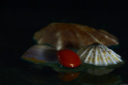 Klick to see High Resolution