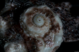 Klick to see High Resolution