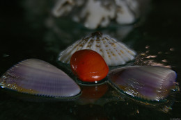 Klick to see High Resolution