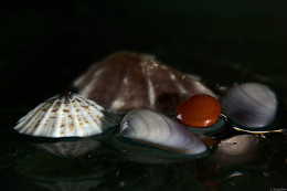 Klick to see High Resolution