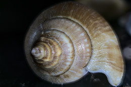 Klick to see High Resolution