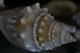 Klick to see High Resolution