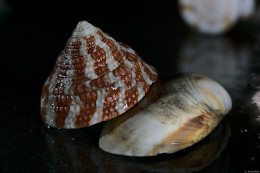 Klick to see High Resolution