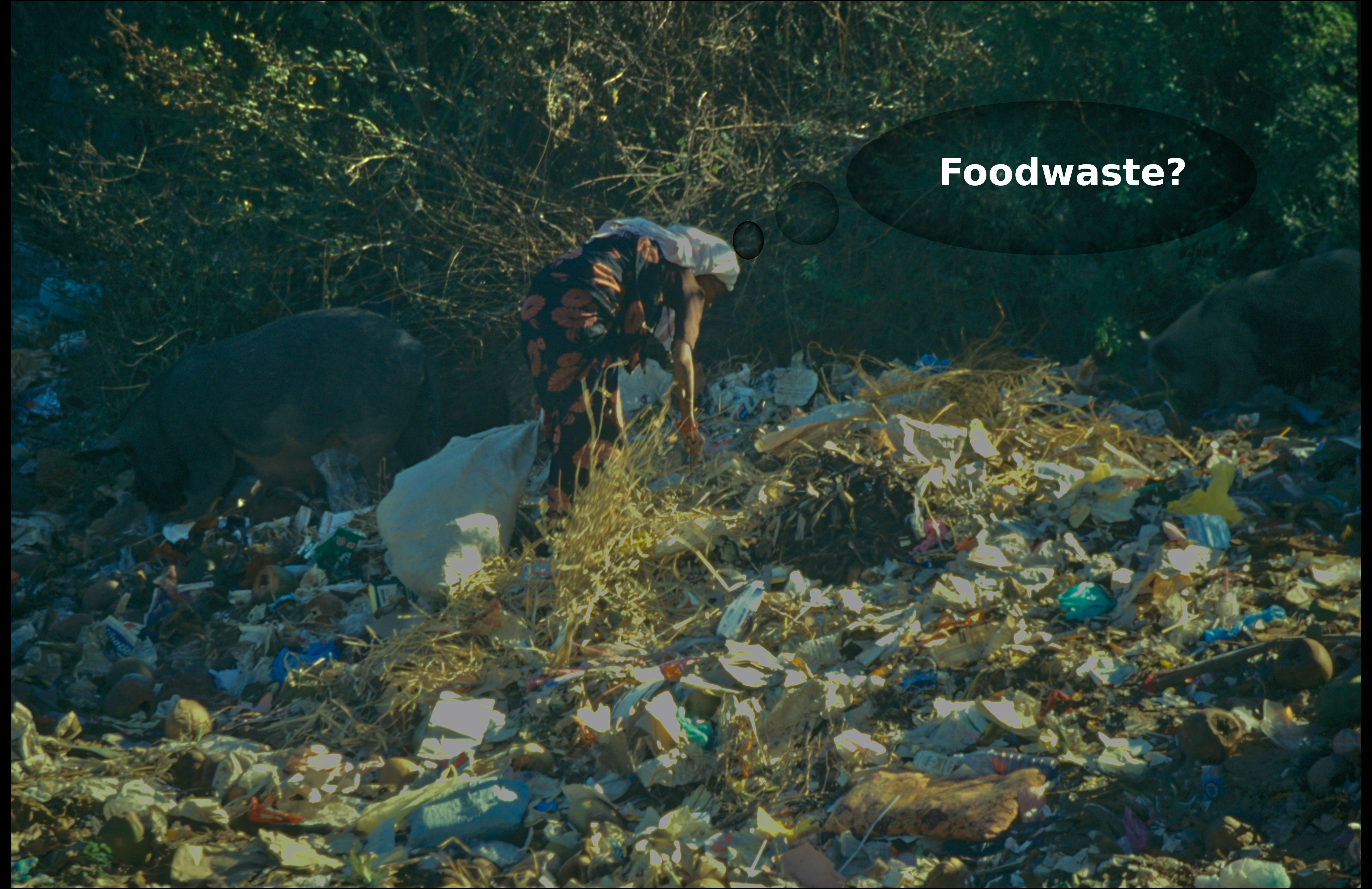 Foodwaste