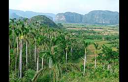 Klick to see High Resolution