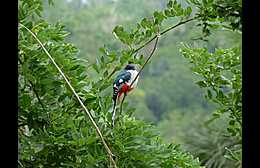 Klick to see High Resolution