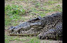 Klick to see High Resolution