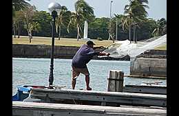 Klick to see High Resolution