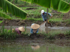 Klick to see High Resolution