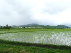 Klick to see High Resolution