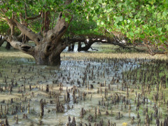 Klick to see High Resolution