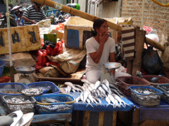 Klick to see High Resolution