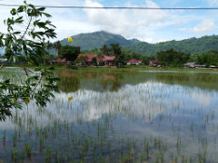 Klick to see High Resolution