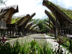 Klick to see High Resolution