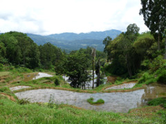 Klick to see High Resolution