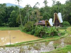 Klick to see High Resolution