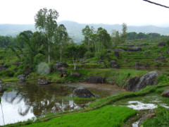 Klick to see High Resolution