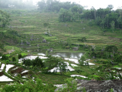 Klick to see High Resolution