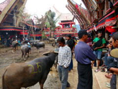 Klick to see High Resolution