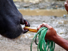 Klick to see High Resolution