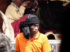 Klick to see High Resolution