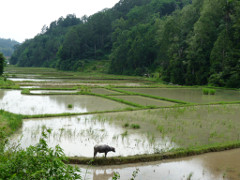 Klick to see High Resolution