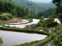 Klick to see High Resolution