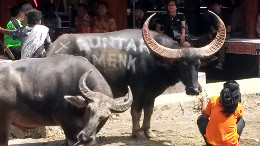 Klick to see High Resolution