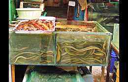 Klick to see High Resolution