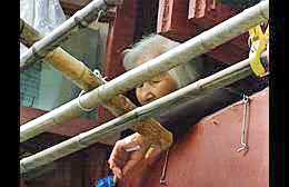 Klick to see High Resolution