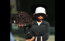 Klick to see High Resolution