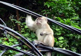 Klick to see High Resolution