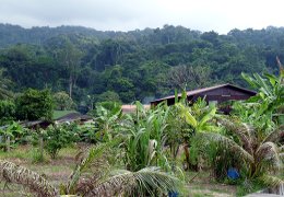 Klick to see High Resolution