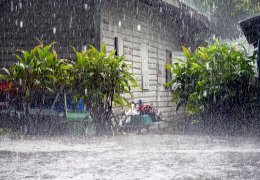 Klick to see High Resolution