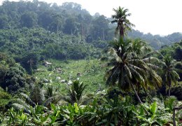 Klick to see High Resolution