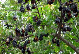 Klick to see High Resolution