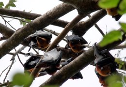 Klick to see High Resolution