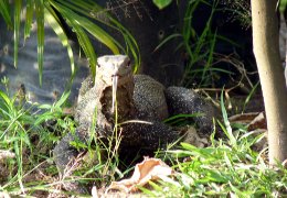 Klick to see High Resolution