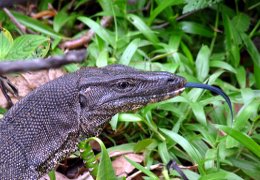 Klick to see High Resolution