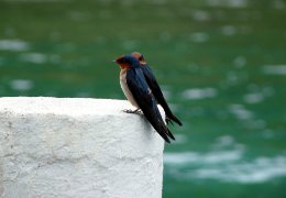 Klick to see High Resolution