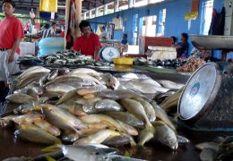 Klick to see High Resolution