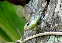 Klick to see High Resolution